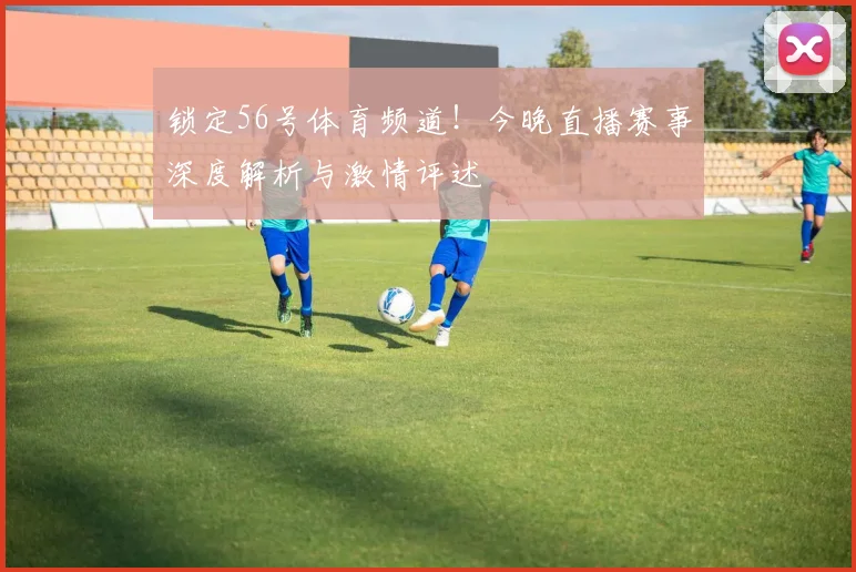 锁定56号体育频道!今晚直播赛事深度解析与激情评述