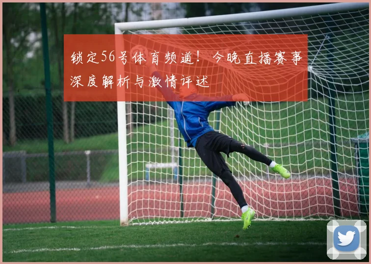 锁定56号体育频道!今晚直播赛事深度解析与激情评述